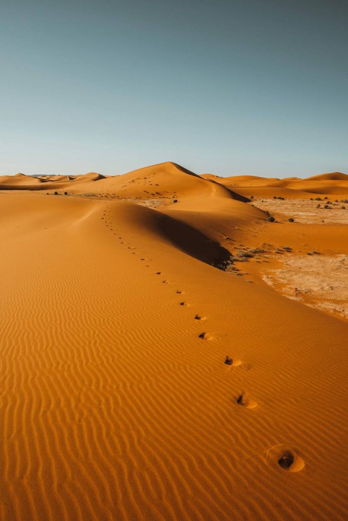 Randonnées et aventures sahariennes au départ de Timimoun