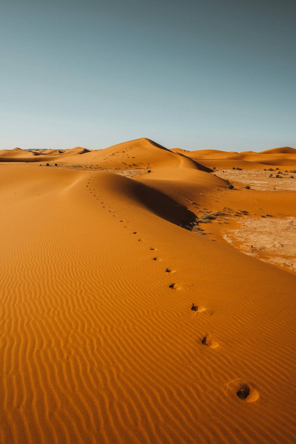 Randonnées et aventures sahariennes au départ de Timimoun
